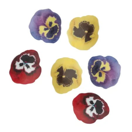 FunCakes Spiselige Blomster Stemorblomst - pk/30