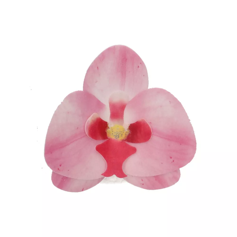 F53880_FunCakes_Orchid_Pink_Medium_2_V2-1000x1000 FunCakes Spiselig blomst i wafer - Orkide - pk/10 rosa - Bilde 1