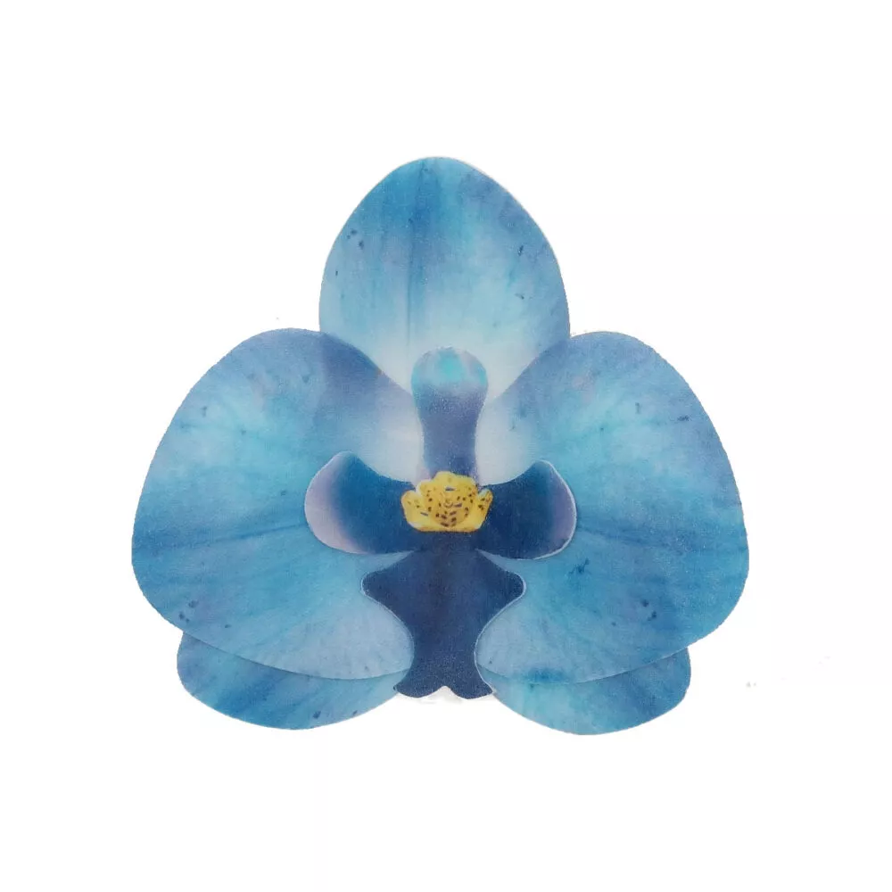 F53885_FunCakes_Orchid_Blue_Medium_2_V2-1000x1000 FunCakes Spiselig blomst i wafer - Orkide - pk/10 blå - Bilde 1